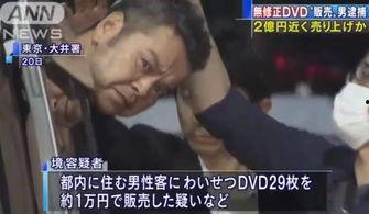 日韩成人无码视频播放,隐私与伦理的边界探索